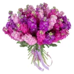 Букет Моя красавица